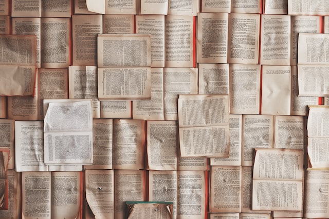 Lots of open books - by Patrick Tomasso on Unsplash
