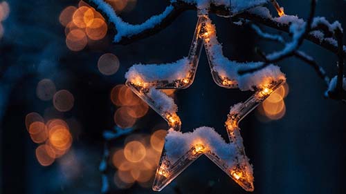 Start hanging from a tree in the snow