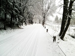 Snowy road