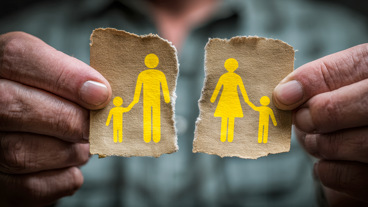 Person Holding Torn Paper Parents Divorce Children